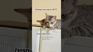 What’s your age?.. #dancehall #remix #viralvideo #trending #cat #shorts #viralcats #kandicherry #fun