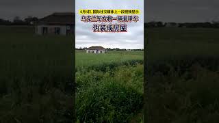 乌克兰军方将一辆装甲车伪装成房屋 #东南军情 #乌克兰 #装甲车