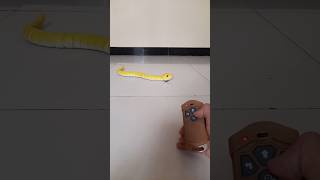 Remote Control snake #youtubeshorts #rcsnake #shortsfeed #shorts #snake #ytshorts #shortvideo