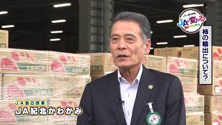 JA紀北かわかみ 自己改革2019