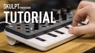 Modal Electronics SKULPT synthesiser Walk Through Tutorial