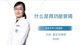 王宓 1 什么是肾功能衰竭？