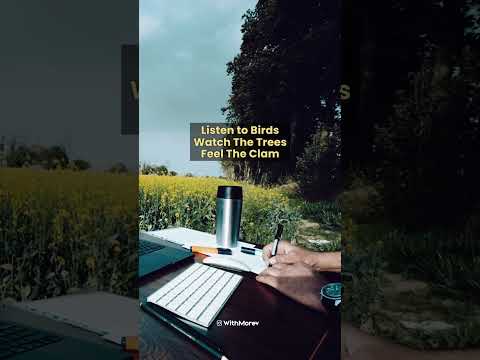 Birds , Trees & Pure Focus | Try This Study Vibe.  #studywithme #meditation