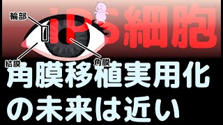 iPS細胞角膜移植実用化の未来は近い！?