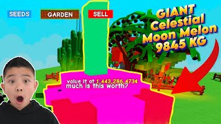 Grow A Garden NOOB Roblox CKN Gaming