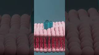 Life Began from Chemicals Shocking Origin of Life Explained in 1 Minute!