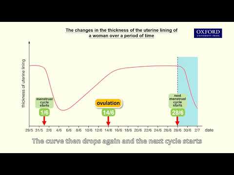 Online tutorial 13.1 Interpreting a graph of the thickness of the uterine lining against time