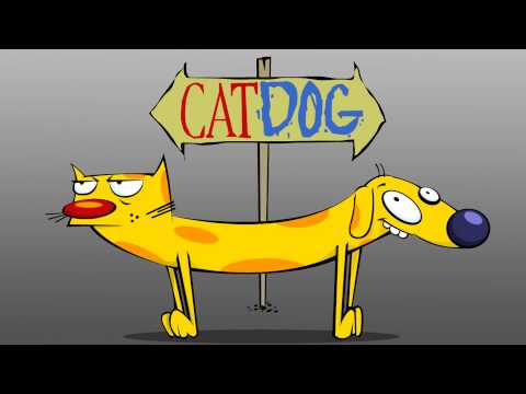 Catdog Theme Song Intro HQ with Lyrics