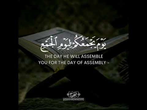beautiful quran recitation