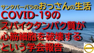 COVID-19のスパイクタンパク質が心筋細胞を破壊するという学会発表