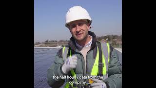 Panificio Italiano Project Overview