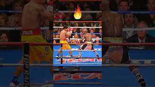 👑 Floyd Mayweather: The UNTOUCHABLE Boxing GOAT! 🥊💎