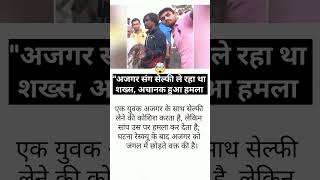 अजगर के साथ selfie🤳ले रहा था लडका? #shorts #shortsfeed #youtubeshorts #news