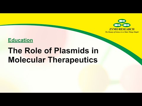 The Role of Plasmids in Molecular Therapeutics