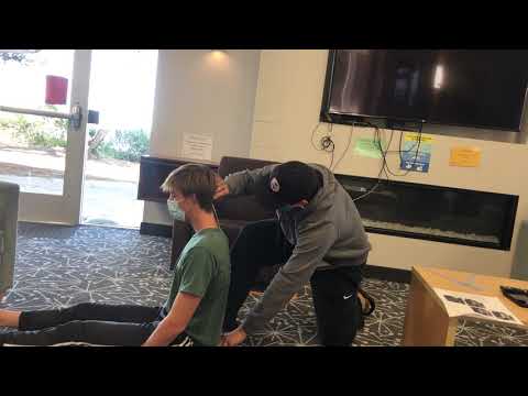 Lumbar flexion and Extension