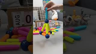 Brainy Kids Magnetic Stick – Smart Play for Smart Kids! 🧠✨ #FunLearning #toys  #creativeideas #14