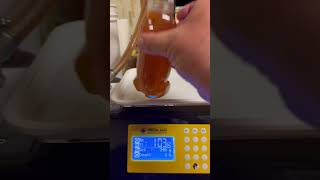 Bottling honey using a hillco bottle filling machine