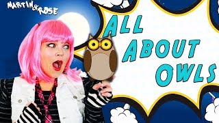 Owls | Learn About These Nocturnal Birds of Prey Through "The Owl Song"