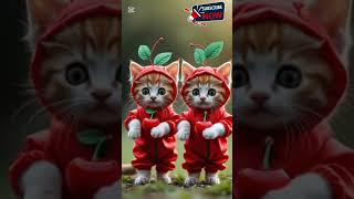 kittens dancing 🍒 #shortsfeed #catdancing #funnycatvideos #subscribemychannel #subscribenow