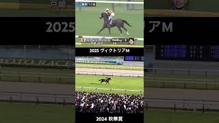ヴィクトリアマイル 2025 ステレンボッシュ 返し馬 秋華賞比較 #ヴィクトリアマイル #本馬場入場 #ステレンボッシュ