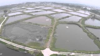 香港楊氏魚塘與米埔保護區4K
