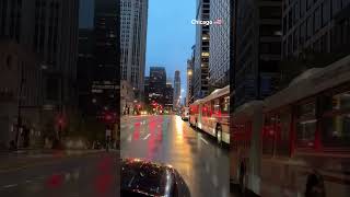 Summer nights in Chicago hit different—dreamy night drives, rain, mist and city lights all around 🌃☔