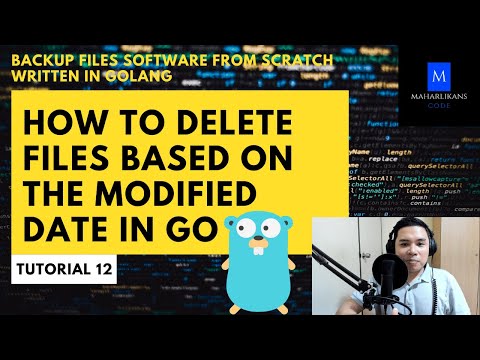 How to Delete Files Based on the Modified Date In Go - Backup Files Software From Scratch in Go #12