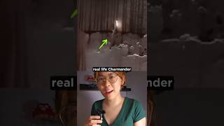 Did This Lizard Just Turn Into Charmander?