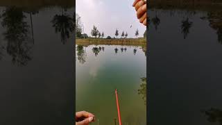 户外钓鱼 钓鱼技巧 调二钓二，一个不灵不顿的钓法，非常适合野钓！ Part 00