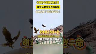 牧民心照顧傷殘禿鷹 痊癒後的禿鷹自由翱翔 卻總忘不了回來探望恩人
