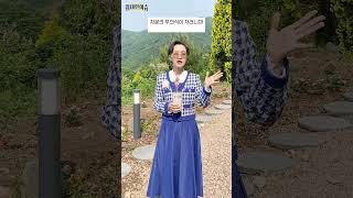#강금실 민주당 선대위원장 "민주당이 제일 걱정하는 (마지막) 변수는 #이재명 후보의 신변 안전 문제", 어떻게 보시나요? #shorts #이혜라