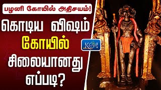 பழனி முருகன் நவபாஷாண சிலை ரகசியம் | Sithar Secret behind Palani Murugan Navabhasana Statue - History