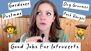 Jobs for Introverts 🤖 AI Job Apocalypse 🤖 Career Change in Your 30's and 40's