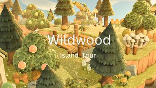 Springcore Forest Island Tour | Animal Crossing New Horizons