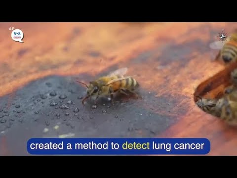 News Words: Detect