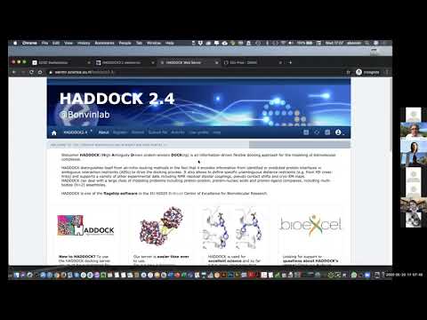 Alexandre Bonvin - HADDOCK thematic service