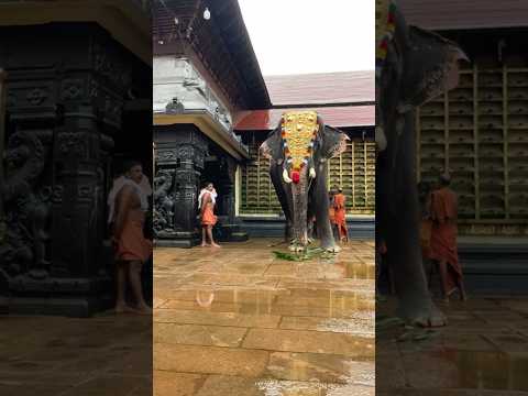 #aranmula #parthasarathy #lordkrishna ❤️