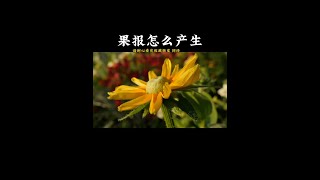 果报怎么产生 #修心 #修心修行 #修心养性禅悟人生 #修心修性 #修心禅语