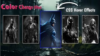 CSS  Card Hover Effect| CSS Hover Effects I CodeXNinja