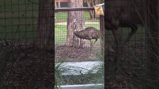 Crocodile hunter lodge the wildlife hanging around while I go to warrior restaurant