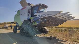 Harvester track chassis
