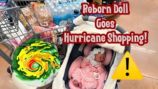 Hurricane Is Coming! Reborn Doll Walmart Outing!