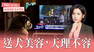 送犬美容天理不容｜學姐真心話 #124 【黃瀞瑩直播】