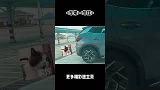 充电界的恶霸比亚迪 #汽车 #科普 #car