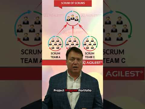 What is Scrum-of-Scrums? Master Multi-Team Scrum!