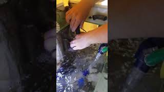 Simple fluval fx6 output flow upgrade.