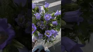 作者@CH 公主请赏花.#好看的花一定要分享给你