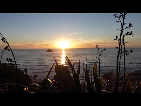 老鲍带你游新西兰——世界三十大美景之一Muriwai Beach(鸟岛）