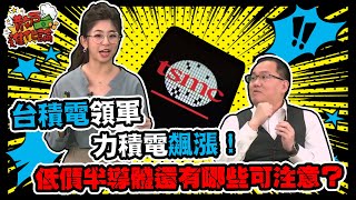 台積電領軍、力積電飆漲！低價半導體還有哪些可注意？│散戶進化論│姚懿庭 王建文