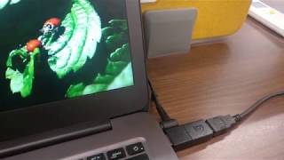 BusKill - A new USB Kill Cord Switch to Self-Destruct Your Linux Machine
